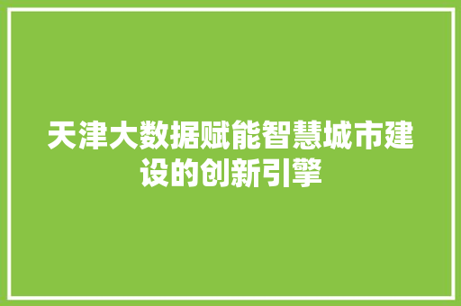 天津大数据赋能智慧城市建设的创新引擎