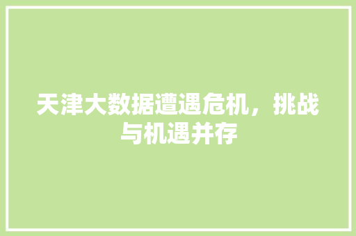天津大数据遭遇危机，挑战与机遇并存