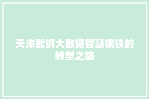 天津武钢大数据智慧钢铁的转型之路