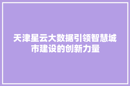 天津星云大数据引领智慧城市建设的创新力量