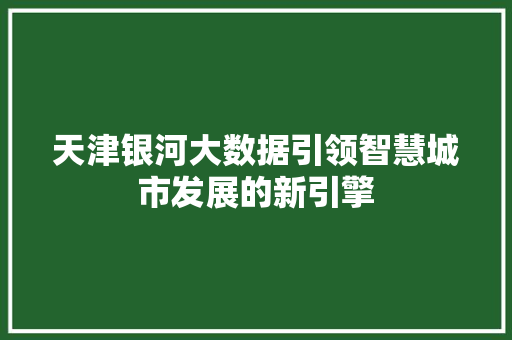 天津银河大数据引领智慧城市发展的新引擎