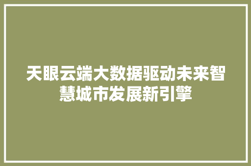 天眼云端大数据驱动未来智慧城市发展新引擎