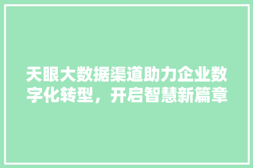 天眼大数据渠道助力企业数字化转型，开启智慧新篇章