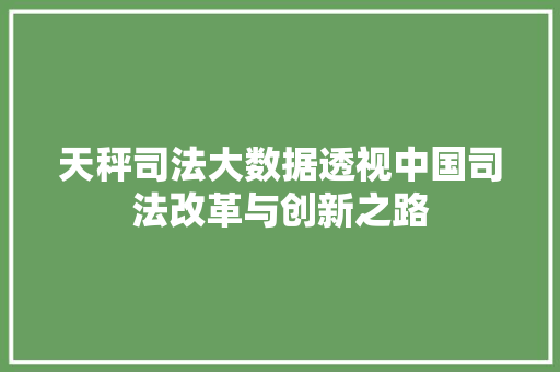 天秤司法大数据透视中国司法改革与创新之路