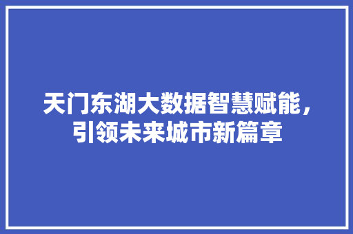 天门东湖大数据智慧赋能，引领未来城市新篇章