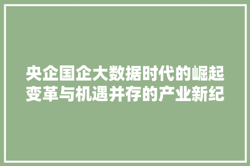 央企国企大数据时代的崛起变革与机遇并存的产业新纪元