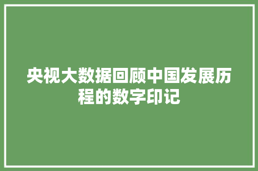 央视大数据回顾中国发展历程的数字印记