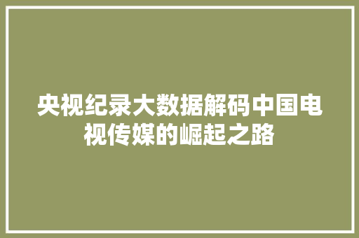 央视纪录大数据解码中国电视传媒的崛起之路
