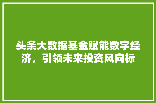 头条大数据基金赋能数字经济，引领未来投资风向标