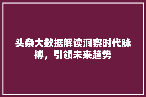 头条大数据解读洞察时代脉搏，引领未来趋势