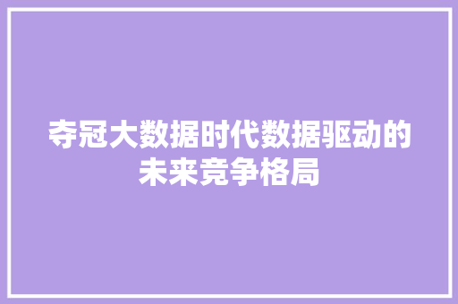 夺冠大数据时代数据驱动的未来竞争格局