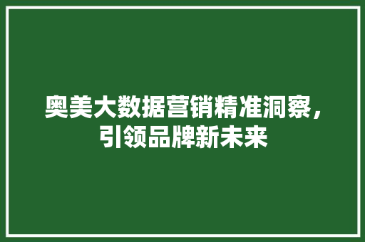 奥美大数据营销精准洞察，引领品牌新未来