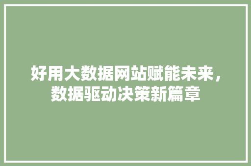 好用大数据网站赋能未来，数据驱动决策新篇章