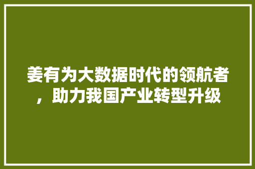 姜有为大数据时代的领航者，助力我国产业转型升级