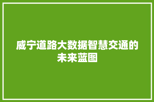威宁道路大数据智慧交通的未来蓝图