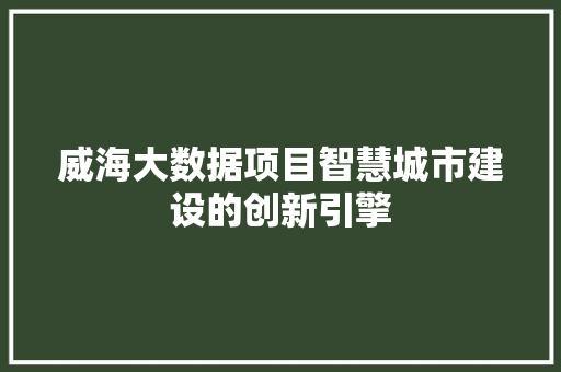 威海大数据项目智慧城市建设的创新引擎