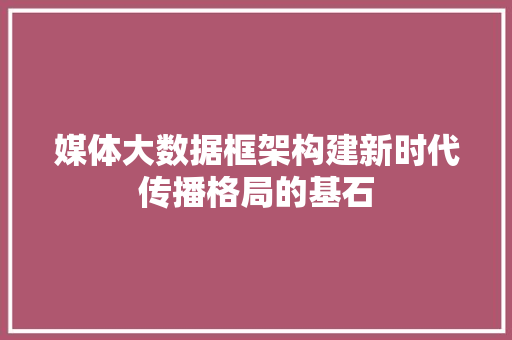 媒体大数据框架构建新时代传播格局的基石
