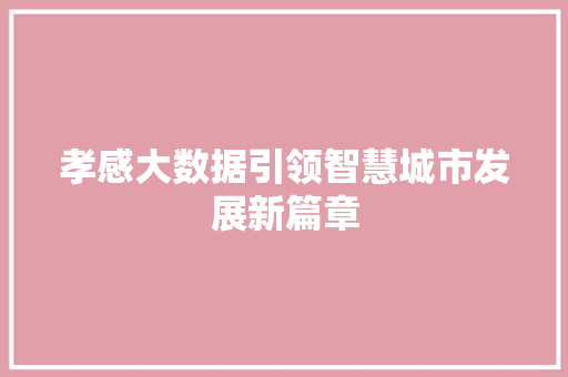 孝感大数据引领智慧城市发展新篇章