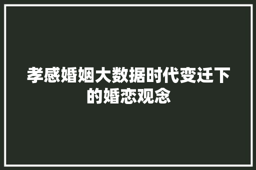 孝感婚姻大数据时代变迁下的婚恋观念