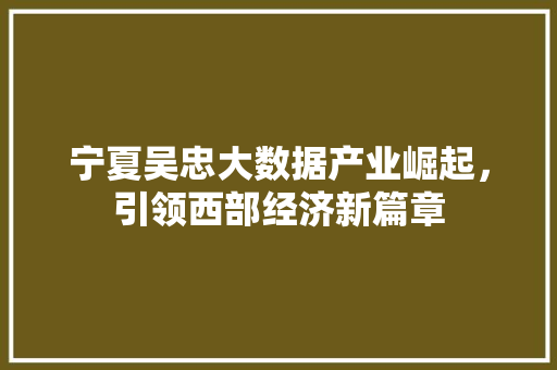 宁夏吴忠大数据产业崛起,引领西部经济新篇章 宁夏吴忠大数据产业崛起,引领西部经济新篇章