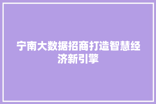 宁南大数据招商打造智慧经济新引擎