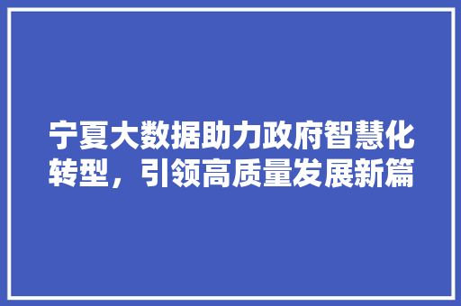 宁夏大数据助力政府智慧化转型，引领高质量发展新篇章