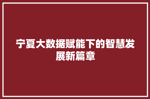 宁夏大数据赋能下的智慧发展新篇章 宁夏大数据赋能下的智慧发展新篇章