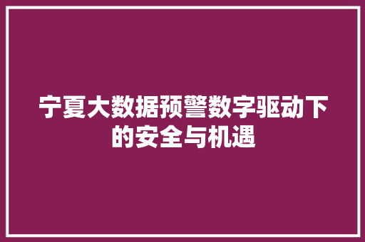 宁夏大数据预警数字驱动下的安全与机遇