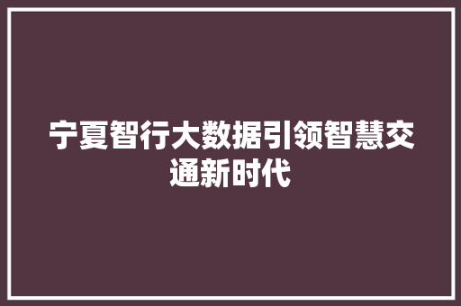 宁夏智行大数据引领智慧交通新时代