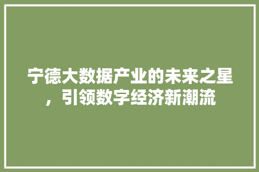 宁德大数据产业的未来之星，引领数字经济新潮流