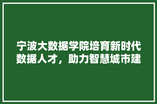 宁波大数据学院培育新时代数据人才，助力智慧城市建设