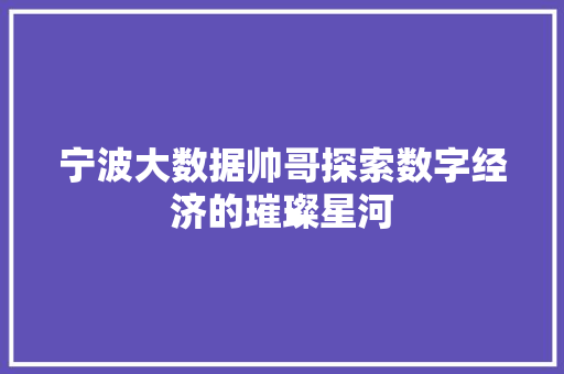 宁波大数据帅哥探索数字经济的璀璨星河