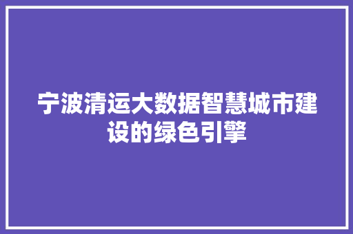 宁波清运大数据智慧城市建设的绿色引擎 宁波清运大数据智慧城市建设的绿色引擎