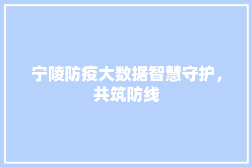 宁陵防疫大数据智慧守护,共筑防线 宁陵防疫大数据智慧守护,共筑防线