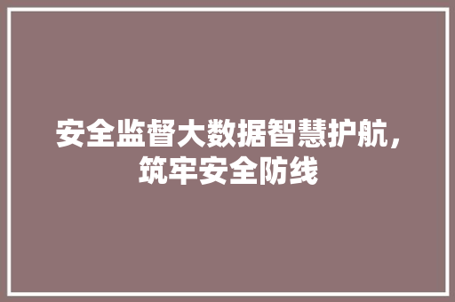 安全监督大数据智慧护航，筑牢安全防线