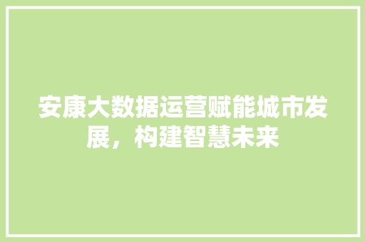安康大数据运营赋能城市发展，构建智慧未来