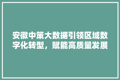 安徽中策大数据引领区域数字化转型，赋能高质量发展