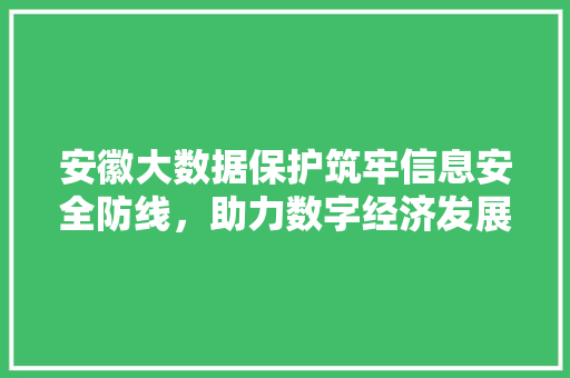 安徽大数据保护筑牢信息安全防线，助力数字经济发展