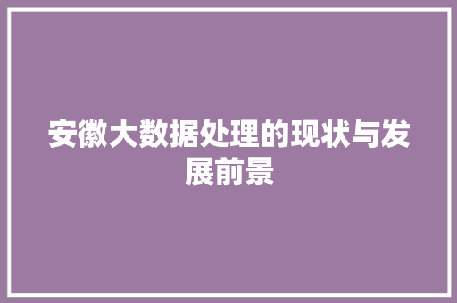 安徽大数据处理的现状与发展前景