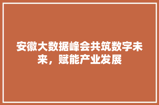 安徽大数据峰会共筑数字未来，赋能产业发展