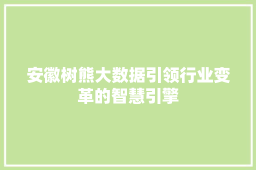 安徽树熊大数据引领行业变革的智慧引擎