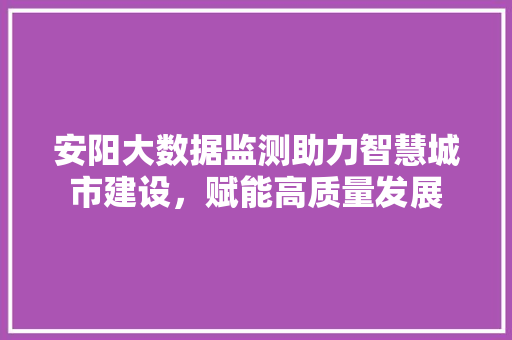安阳大数据监测助力智慧城市建设，赋能高质量发展