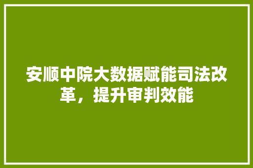 安顺中院大数据赋能司法改革，提升审判效能