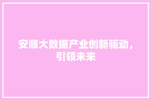 安顺大数据产业创新驱动，引领未来