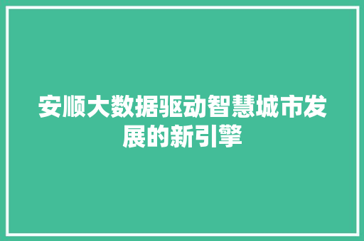 安顺大数据驱动智慧城市发展的新引擎