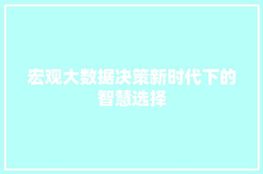 宏观大数据决策新时代下的智慧选择