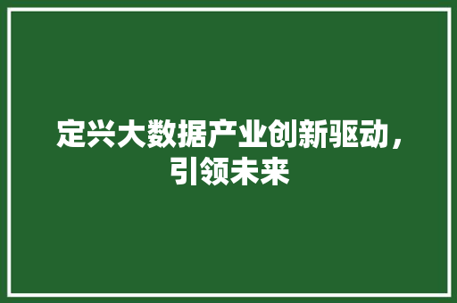定兴大数据产业创新驱动，引领未来 网络技术