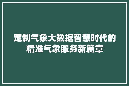 定制气象大数据智慧时代的精准气象服务新篇章