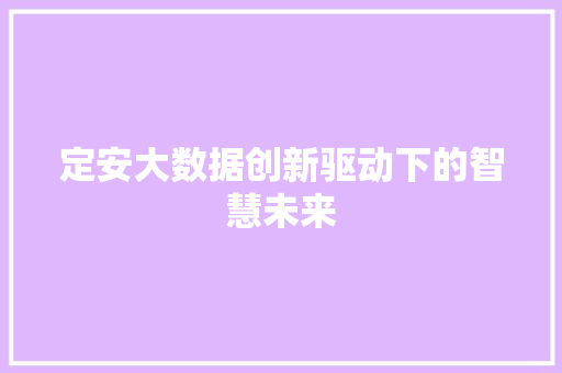 定安大数据创新驱动下的智慧未来