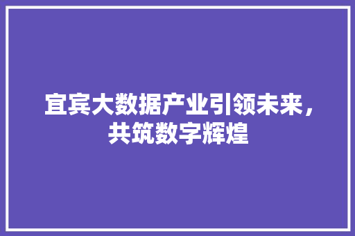 宜宾大数据产业引领未来，共筑数字辉煌